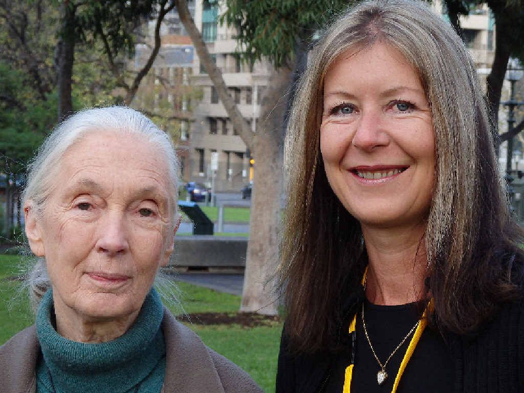 DINGO DEFENDERS: Dame Jane Goodall with Rainbow Beach photographer Jennifer Parkhurst at the Melbourne Museum this week. DINGO DEFENDERS: Dame Jane Goodall with Rainbow Beach photographer Jennifer Parkhurst at the Melbourne Museum this week.